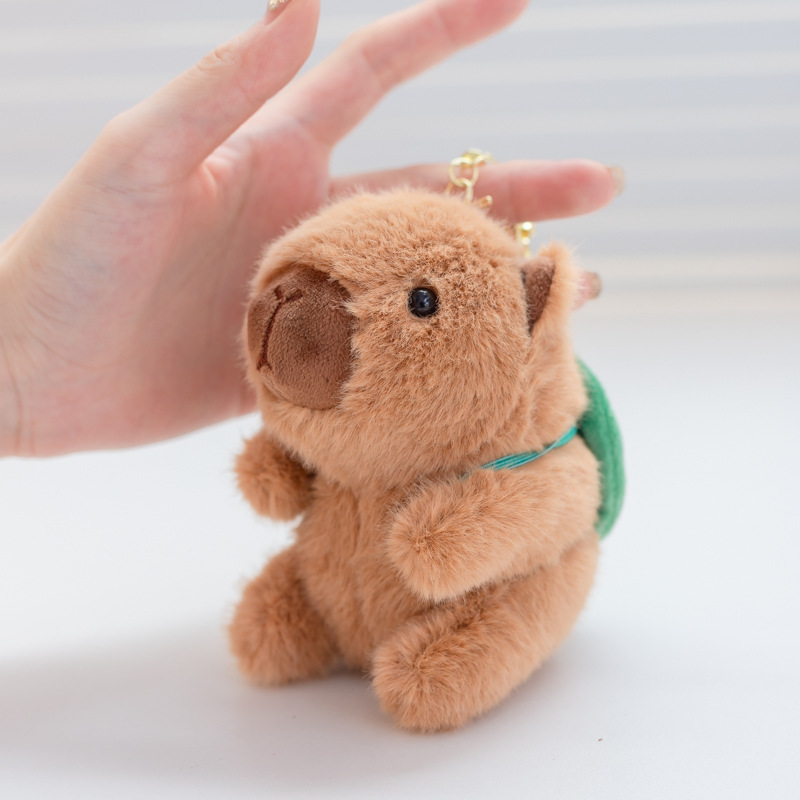 샤오카(거북이)