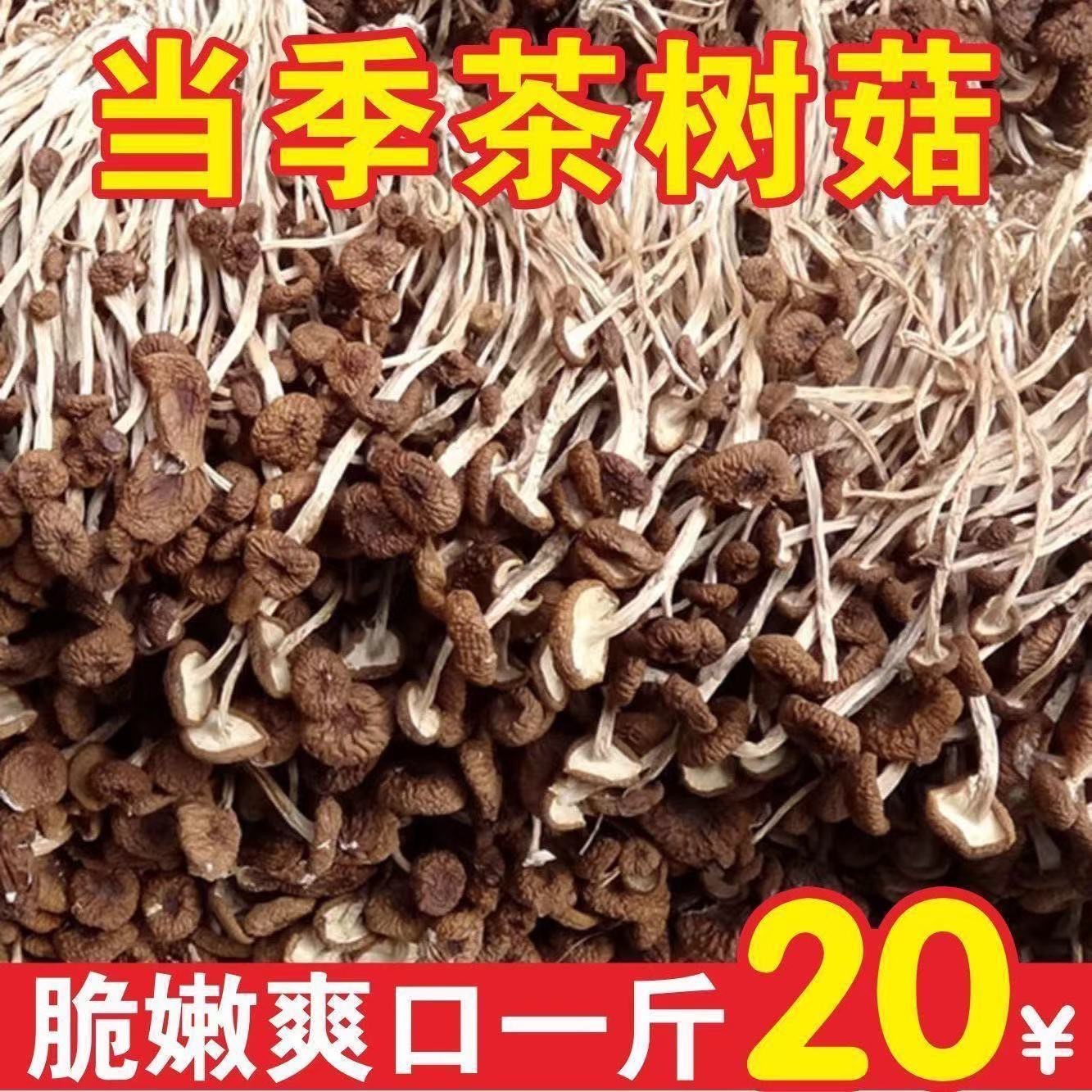 Factory direct sale 500g Gutian Farmhouse Tea Tree Mushroom Hand-Selected Unopened Umbrella 2023 Fresh Tea Mushroom Dried Goods 250g Fragrant