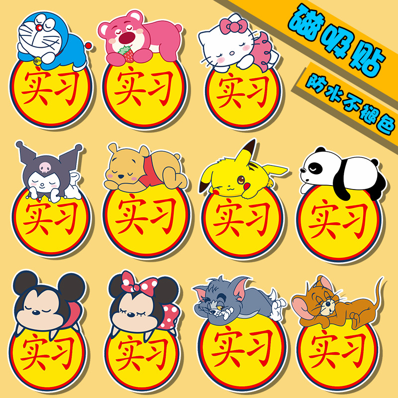 Cartoon magnetic travel card case