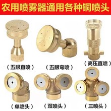 �r��늄Ӈ��F�����~�߉��F����ׇ��^��ș�C����߉����{�F�����^