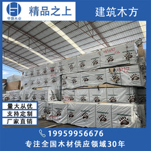 �ɼ�����ɳ��ɰ��� ���W���m���_˹���ô���ľ��� �Ҿ߲���ľ��