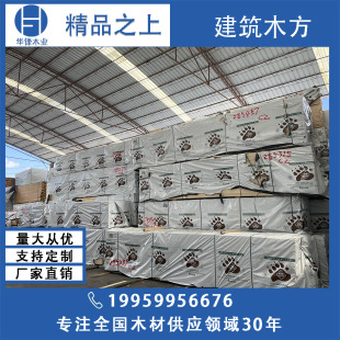 �ɼ�����ɳ��ɰ��� ���W���m���_˹���ô���ľ��� �Ҿ߲���ľ��