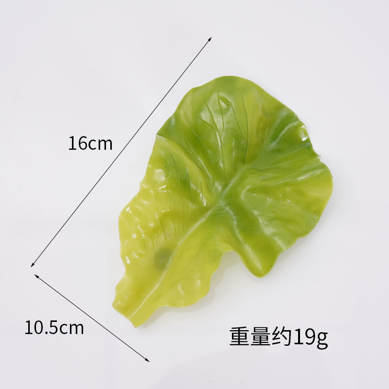 작은 어두운 색상의 상추 잎 - 버클 없음