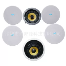 公共广播系统;扬声器;家庭影院