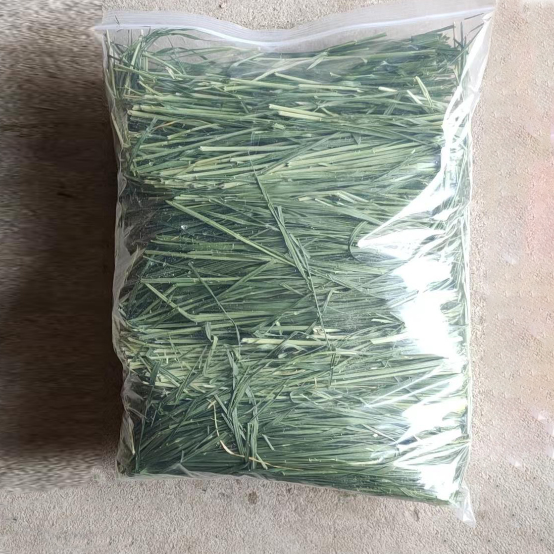 a9464c658f05ff84313fda8df8df9c