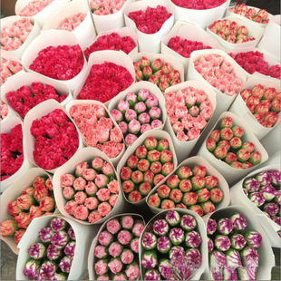 Flowers Yunnan Direct Delivery Carnation Base Same City Express Delivery Water Cultured Bouquet Kunming Birthday Mother's Day Gift