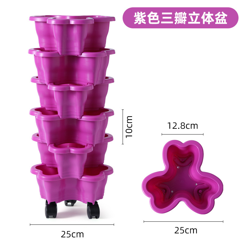 紫罗兰 / 60厘米高