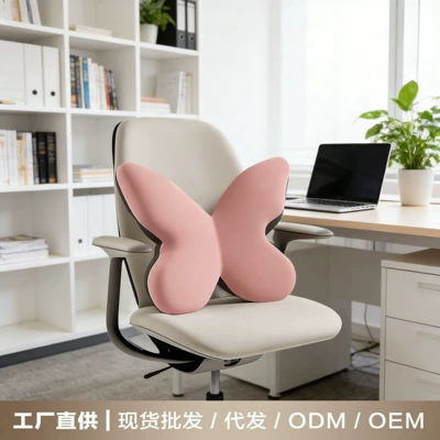 Cushion for Long-Term Driving, Waist support
