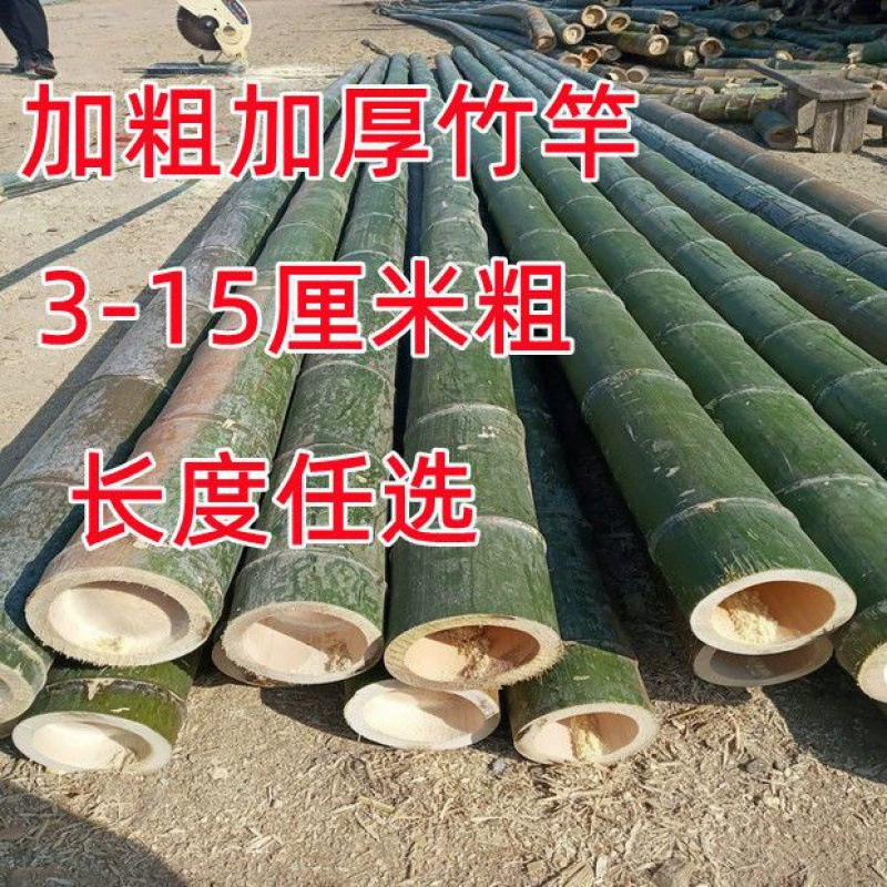 Бамбуковый столб толстый и толстый бамбуковый столб бамбуковый столб бамбуковый столб толстый бамбуковый столб