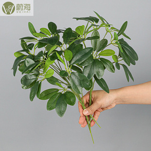 ����ֲ���֧7�����_ľ���~���k���ҾGֲ�blؔ���~�߶��p��