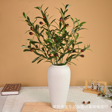 �羳�����ϙ�֦ �ٻ����l���컨�����滨�b��÷���Gֲ4���֦