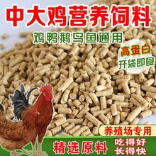 雞飼料批發直銷100斤母雞高營養蛋白小雞開口育肥料顆粒打窩料熱