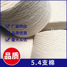 5.4֧�ޱ���ȫ����ë���׼��� ��]ë���ļ����޼���