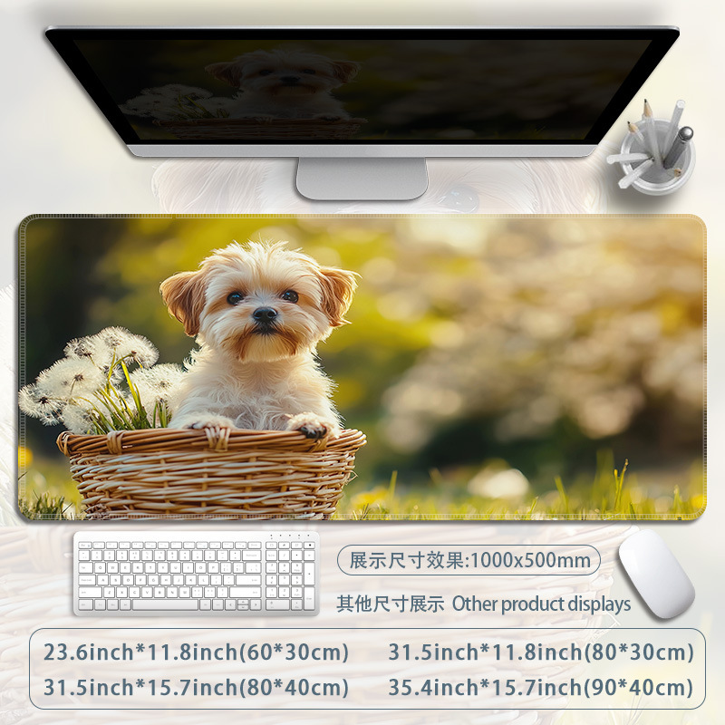 B77-용감한