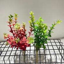 �������ֲ��12������С���X���ָп���������ˮ�ݶ�ѿ��ֲ������