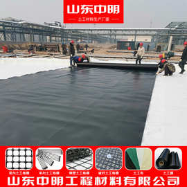 垃圾填埋场防渗土工膜沼气池氧化塘防渗HDPE土工膜隧道地铁防渗膜