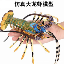 实心仿真澳洲龙虾玩具模型静态波士顿大龙虾海洋生物模型摆件批发