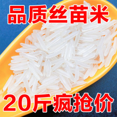 新米当季超长粒香米软糯大米新鲜猫牙丝苗米农家象牙细米炒饭
