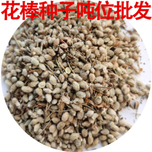 ���l�����N�Ӽ�֦���S�ηN�ӷ��L��ɳ�����o�·N�ѻ�����N�ӻ���