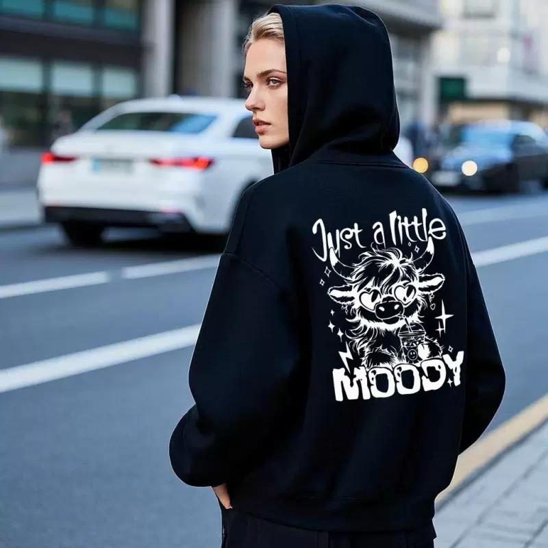 2025欧美跨境美式套头连帽卫衣男女款休闲潮流时尚连帽衫春秋卫衣