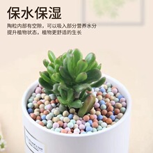 彩色陶粒通用型绿植物铺面石透气防虫水培多肉颗粒土养花石子