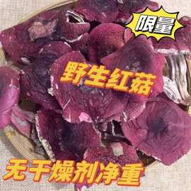 野生红菇碎破片原产地新鲜土特产干货500g农家食用农产品红菇