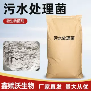 污水处理菌复合菌种 硝化反硝化菌 降COD去氨氮脱总氮污水处理菌