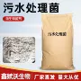 处理复合污水硝化硝化菌