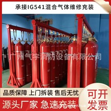 ݳԹIG541ϵͳרá