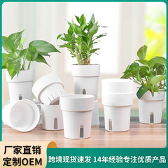 新商品創意小植木鉢怠け者植木鉢自動吸水家庭用プラスチック鉢軽豪華植物水培盆栽神器