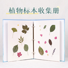 ֲ˱ռԃͯɻ~˱ռ{diyճNʽƸĤ