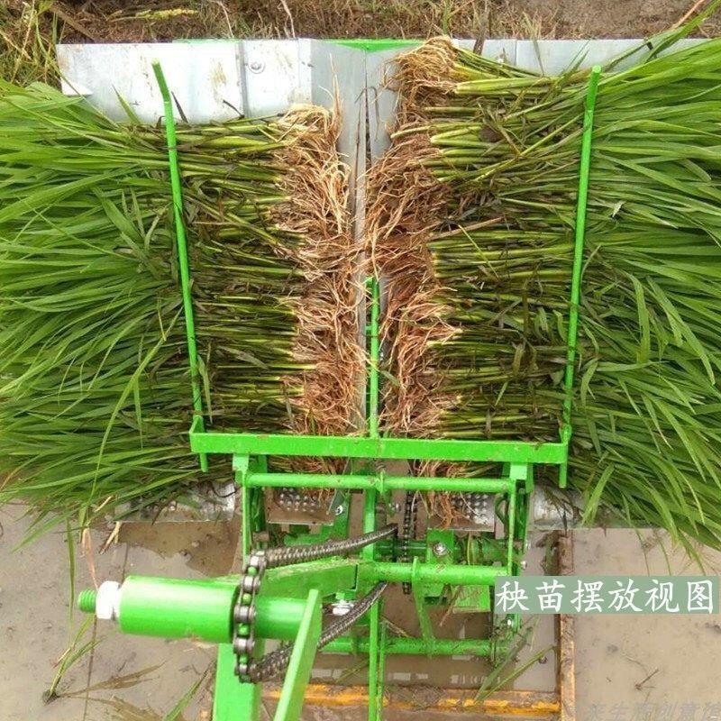 水稻机手动自动插秧机耕种水稻插秧机全自动秧苗种植插秧手摇