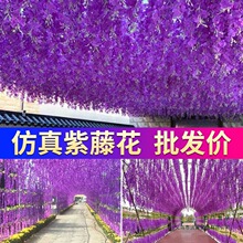 ���ٻ��ٻ����_�m��픻����҃Ȼ�c�b��ٗl���ϻ��l����ֲ��