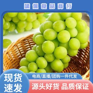 ꖹ�õ���������rˮ��5���������џo����ӡ�������ᮔ���������l