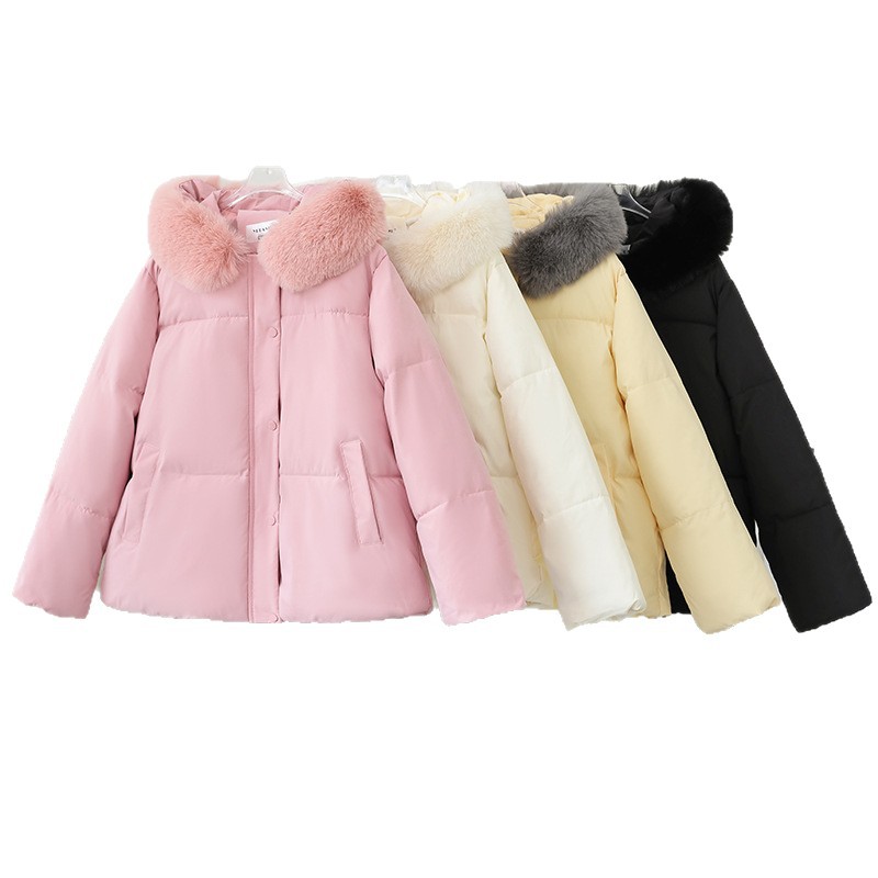 Europa y los Estados Unidos nuevo otoño y invierno 2025 pan plumón ropa de algodón mujer gruesa suelta pequeña chaqueta de algodón corta chaqueta de algodón