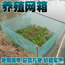 10目养殖网箱泥鳅黄鳝龙虾网螃蟹网箱40目养鱼防逃网饲料围网拦网