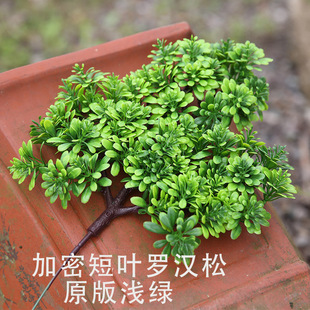 �b�����~��ӭ�����ɘ�����������~������~�ɘ�֦�ؘ����֦�~