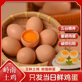 鸡肉类;鸡蛋;熟食/即食菜