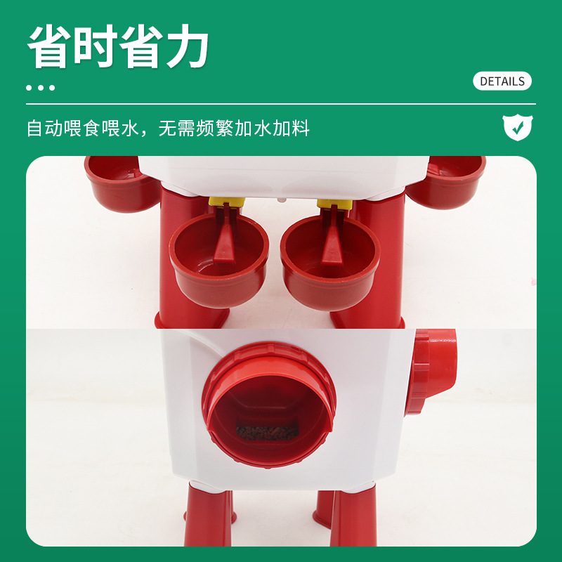 alimentador de codorilla tipo exportación con piernas de soporte bebedor automático de agua bebedor automático de codorilla de paloma alimentador automático de alimentos