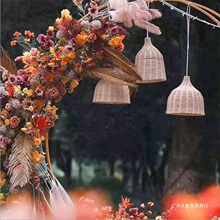 ��c����ɭϵ����ˇ�Ʊ����\�����Y���Ù�������b��پ�����
