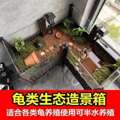 黄縁亀景観専用箱生態造景亀陸亀半水亀小型ペット養殖箱が次々と認可された