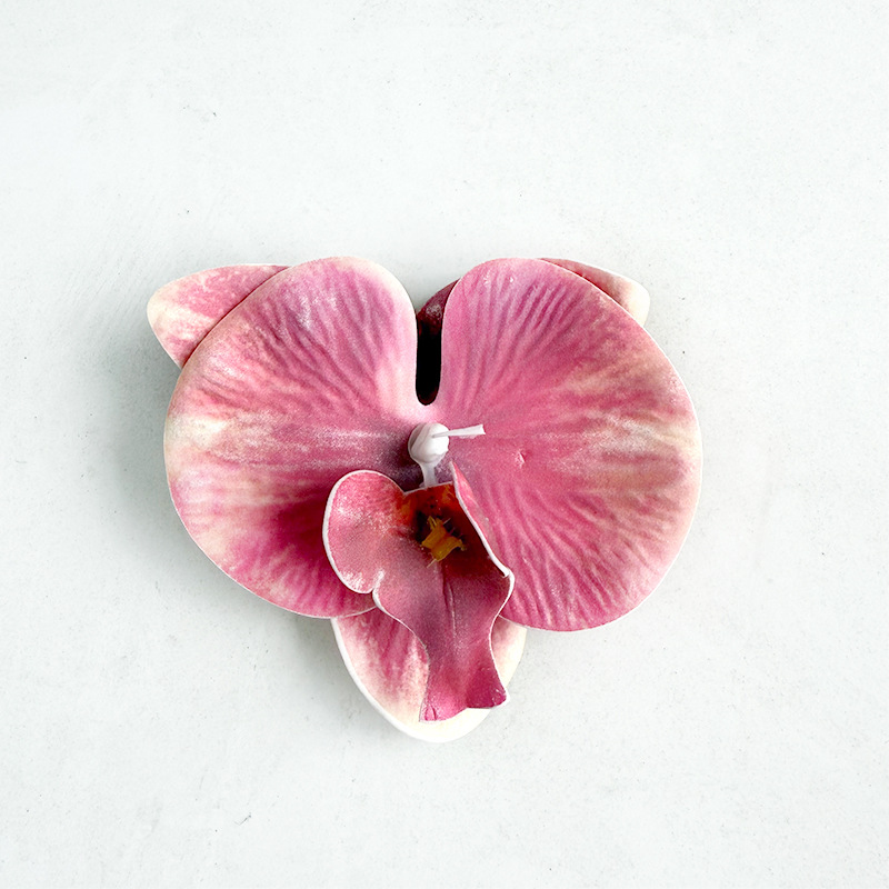 미디엄 에바 호접란-로즈 핑크