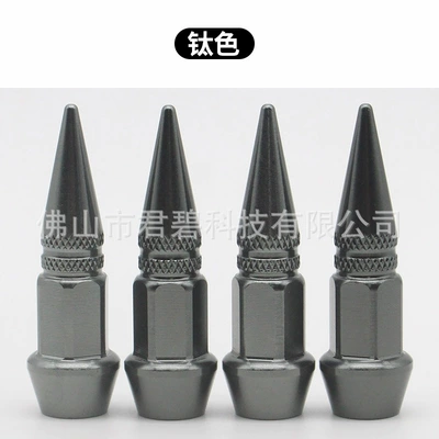 Auto Accessories Bullet Valve | valve - titanium-color