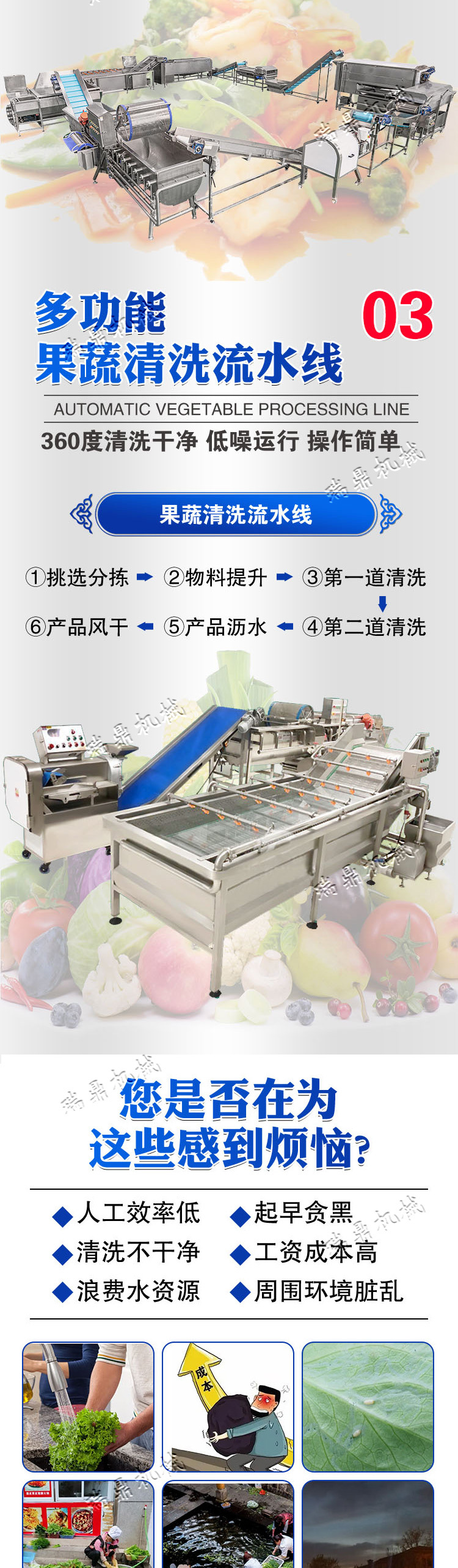 净菜加工 (2).jpg