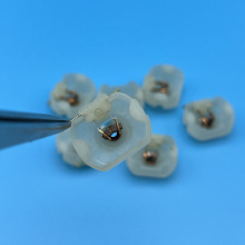 130늙C̼ˢ���w�������܇���@С�R�_���늙C�S������ߺ��~��