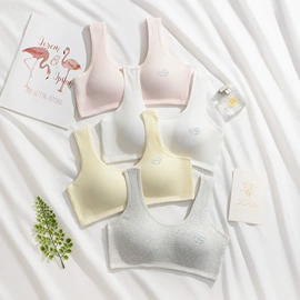 女士三角裤;少女文胸;裹胸、抹胸