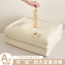 a类母婴级宝宝纱大豆夏凉被可水洗空调被夏季礼品夏被夏天薄被子