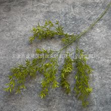 �p���~���滨ɭɫϵ�G�~�ӑ����c�廨�쾰�b���Gֲ����ֱ�N
