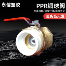 ppr�~���y_ppr��� �~���ydn20-110 �~���y   �p����~���y