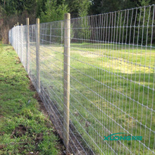 OEM����Farm Fence�����r����\�F�z�W����5���׼���ţ�ھW